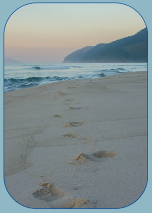 Clinical Supervision