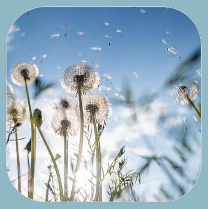 Becca Wellaway Psychotherapy