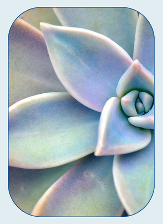 Systemic Psychotherapy