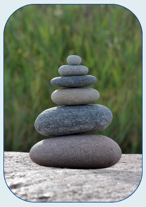 Working with Organisations